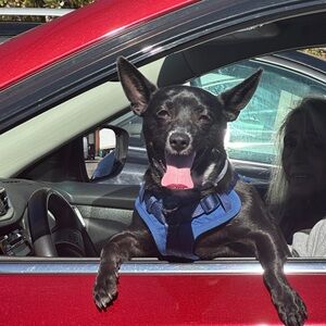 Meet your Posher, Gina